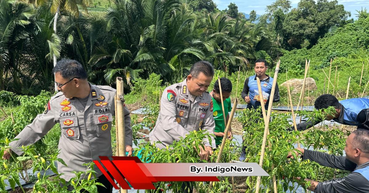 Bid Dokkes Polda Sulbar Buat Kebun Ketahanan Pangan - Indigonews